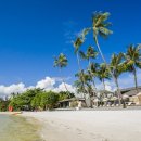 스위트 9-1 이미지