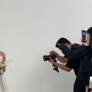 재리헤어 이미지