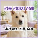 김포홍보인 | 김포 강아지 장례 추천장소 2곳│김포 반려견 장례식장 비용, 후기까지 완벽 정리