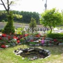 술이홀로(1) 이미지