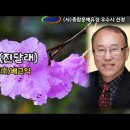 참꽃(진달래) / 시 宗南/배근익 / 낭송 권인숙 / 사단법인 종합문예유성 우수시 선정 / 영상제작 서미영 이미지