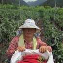 영월고등학교 이미지