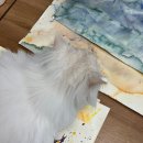 동작초등학교 이미지