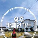 상주애견 이미지