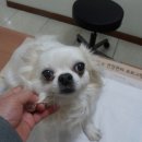 당곡지구대 이미지