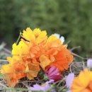 하늘땅지역아동센터 이미지