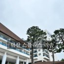 스테이덕산 | 덕산 스플라스 리솜 :: 스테이타워 숙박 솔직 후기 예산 숙소 추천