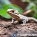 동물보육원 안산지부 | 안산 월피동 애견유치원 동물보육원 안산지부 비용 시간 위치