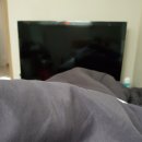 김밥애빠지다 이미지