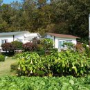 청마루농장 이미지