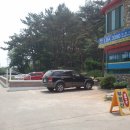 대부도공인중개사사무소 Daum카페