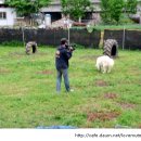 속담농장 이미지