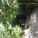 잔인한 피해자 서종석님에대한 답변.(주식조종당해 7억갈취당함) 이미지