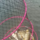 산들 낚시터 이미지