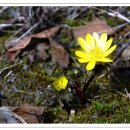 화영약국 이미지