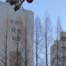 태영아파트 사거리 이미지