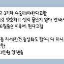 미사늘봄동물병원 이미지