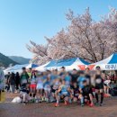 2024 대구 마라톤 여자 풀코스 완주 빡치는 후기 및 주로 사진 링크 공유 추가중