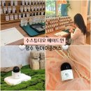 수스튜디오메이드인