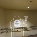 한국유미코아유한회사 | 오사카 아이랑 가볼만한 곳 덴노지동물원 후기! 주유패스 없어도 만족!