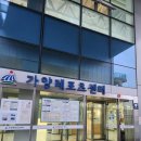 트라이가양