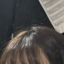 왕지공원 | [내돈내산] 순천 호수공원 미용실 ‘봉미리메르시’ 왕지점 파마, 커트 솔직후기