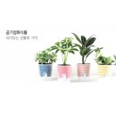 상패 태권도 이미지