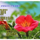 은향