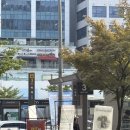 마곡역 3번 출구 옆 | 마곡속눈썹펌 로와이뷰티 노글루 케라틴펌 후기