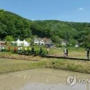 시골마을 네이버블로그