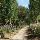 용산-이촌-200 이미지