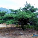 대룡초교 이미지