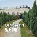 앙비떼카페 | [당진 애견동반 카페] 유럽 감성 브런치카페 '앙비떼' +오프리쉬 애견 운동장