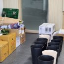 힐링 꽃꽃이 이미지