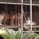 근수농장 이미지