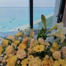 안산꽃 | [안산 꽃집] 로망꽃 상록수본오본점 꽃바구니 리얼후기