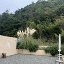[경남 고성] - 고성 주택개조한 아늑한 카페 자란들