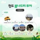 봄나드리투어 이미지