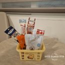 감성충만셀프 | 감성 충만 루프탑이 있는 반려견동반 속초 도글리아호텔