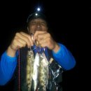 쏘갈형제님(한재덕)의 작은손맛 이미지