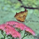 광창2로1 이미지