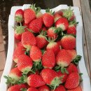 순성농장 이미지