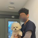 강서YD동물의료센터 이미지