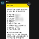 수정-112 | 휘닉스 제주 힐리우스 독채 112평 숙박기 ✈️ 서귀포 성산 숙소 추천