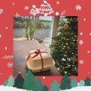 스테이마음결 이미지