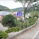 물안민박