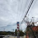 천장어 | 💨 시흥 물왕저수지 근처 가성비 갑 장어맛집! ‘천장어’ 방문 후기 🐍