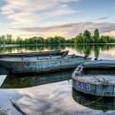 힘찬동물병원 이미지