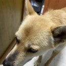 맥스농장 이미지