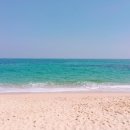 주성목장 이미지